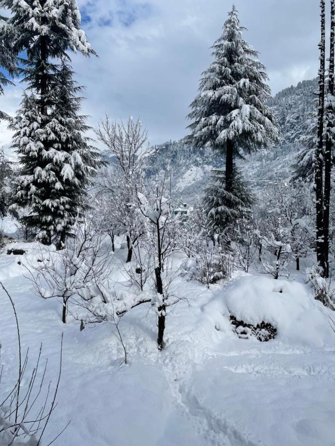 The Doors Inn Manali  Luaran gambar