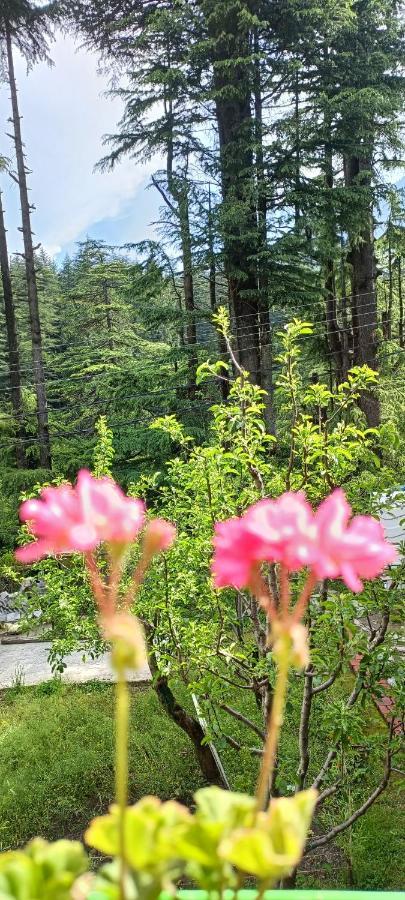 The Doors Inn Manali  Luaran gambar