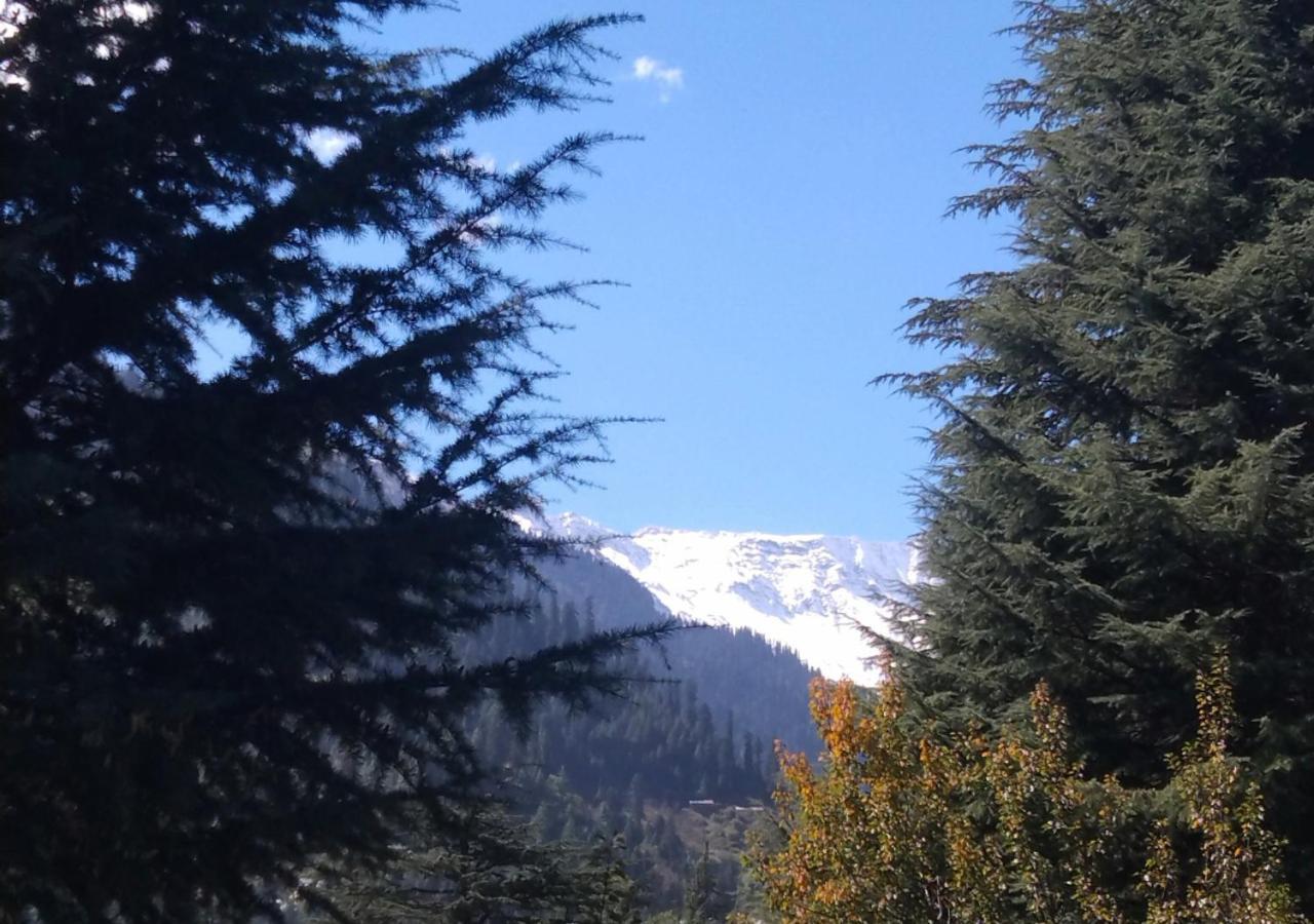 The Doors Inn Manali  Luaran gambar